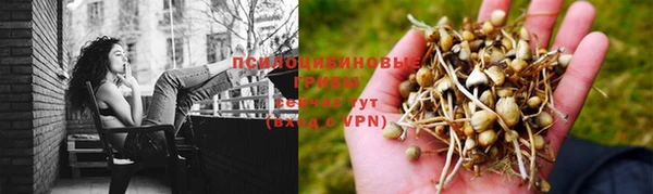 jwh Арсеньев