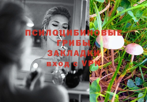 гидропоника Аркадак