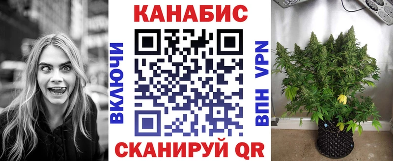 Каннабис OG Kush  Купить где  Саратов 