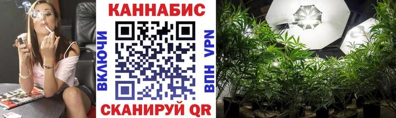 Бошки Шишки VHQ Саратов